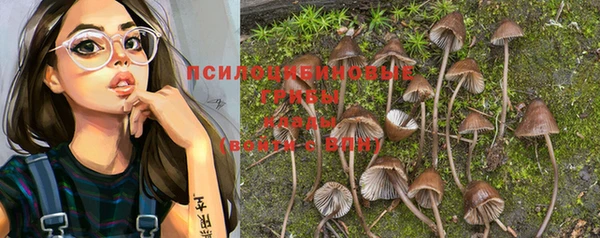a pvp Покров