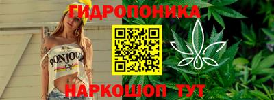 дурь Гагарин