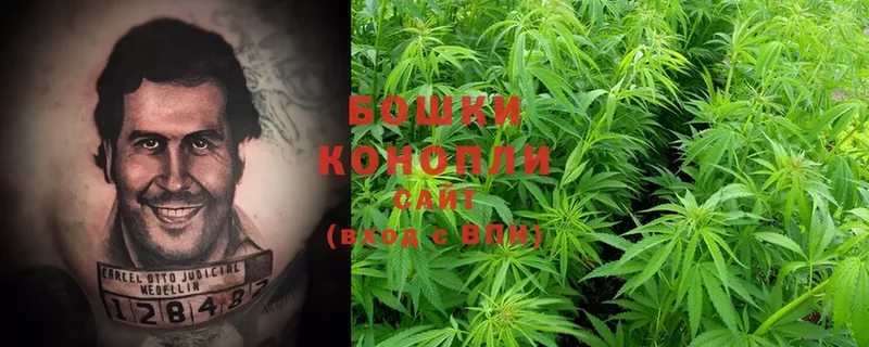 Канабис White Widow  цена наркотик  Кунгур 